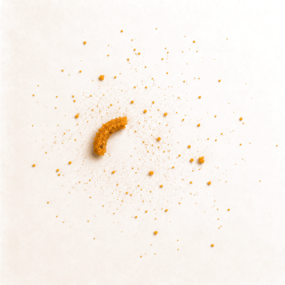 Bhajani chakli being eaten